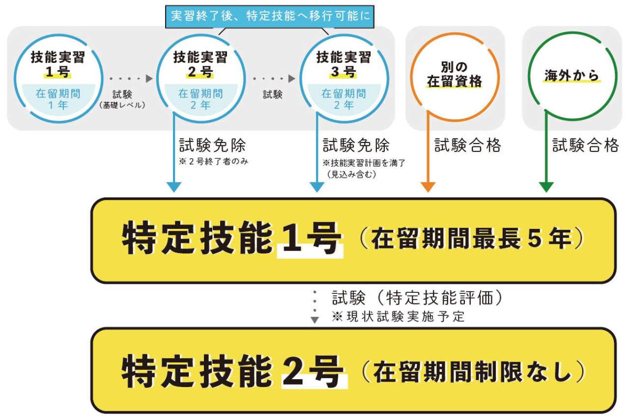 外国人技能実習制度とは？職種や特定技能との違い、受け入れの流れも説明します